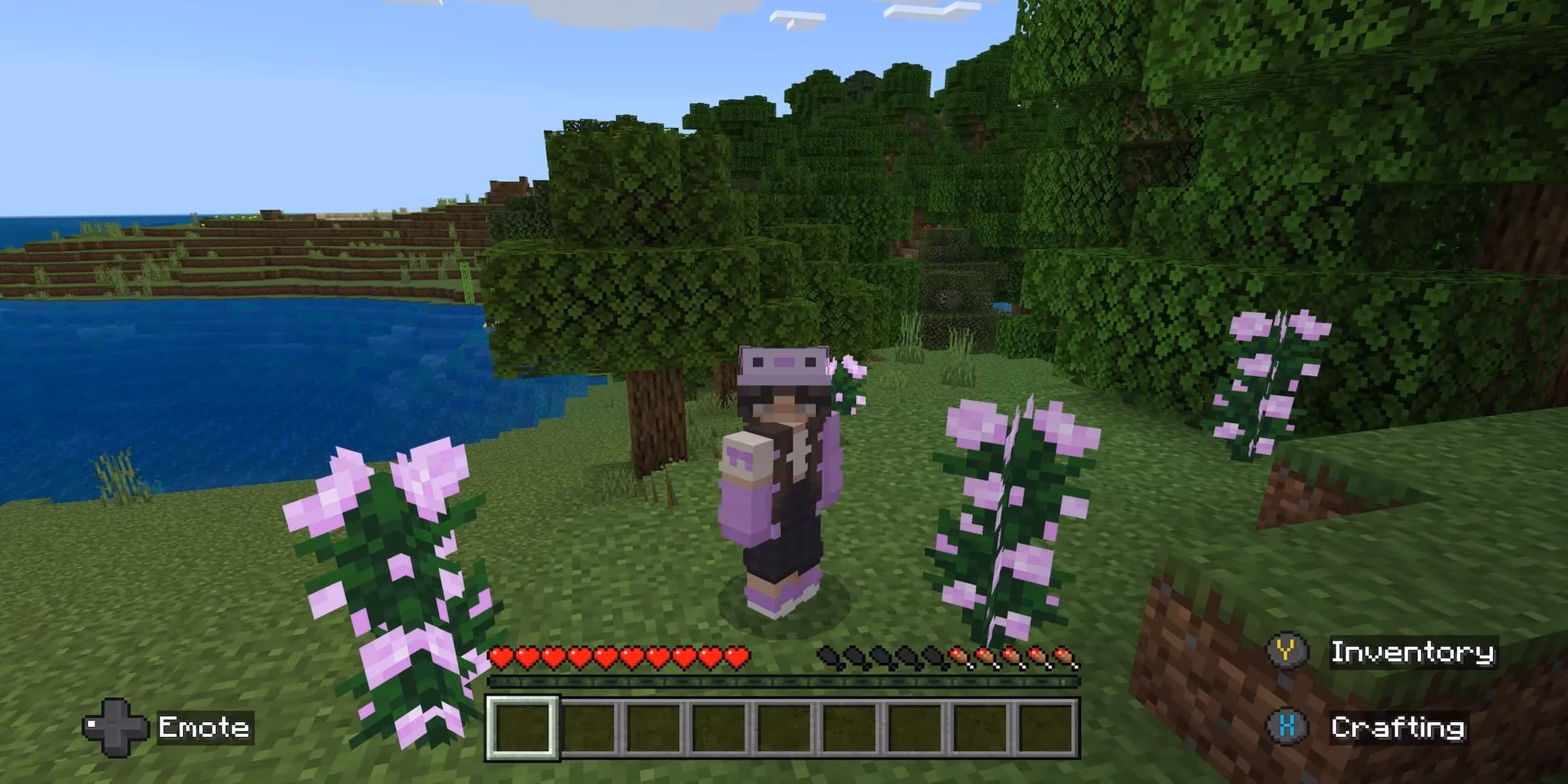 minecraft-2026-ultimate-flower-guide-locations-dyes-uses-image-11