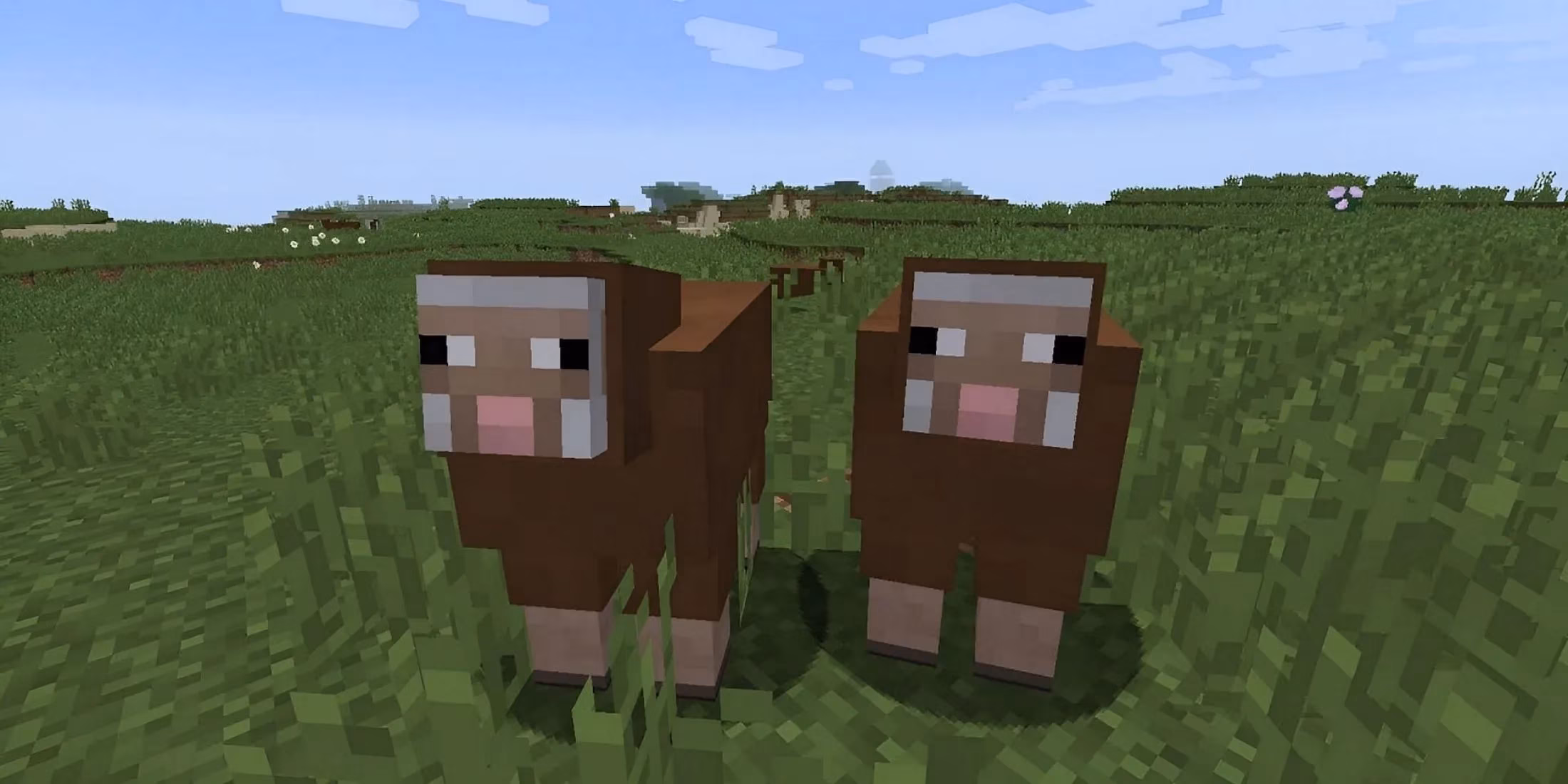 minecraft-s-shiny-sheep-how-a-pc-setting-mishap-created-mirror-like-animals-in-2026-image-0