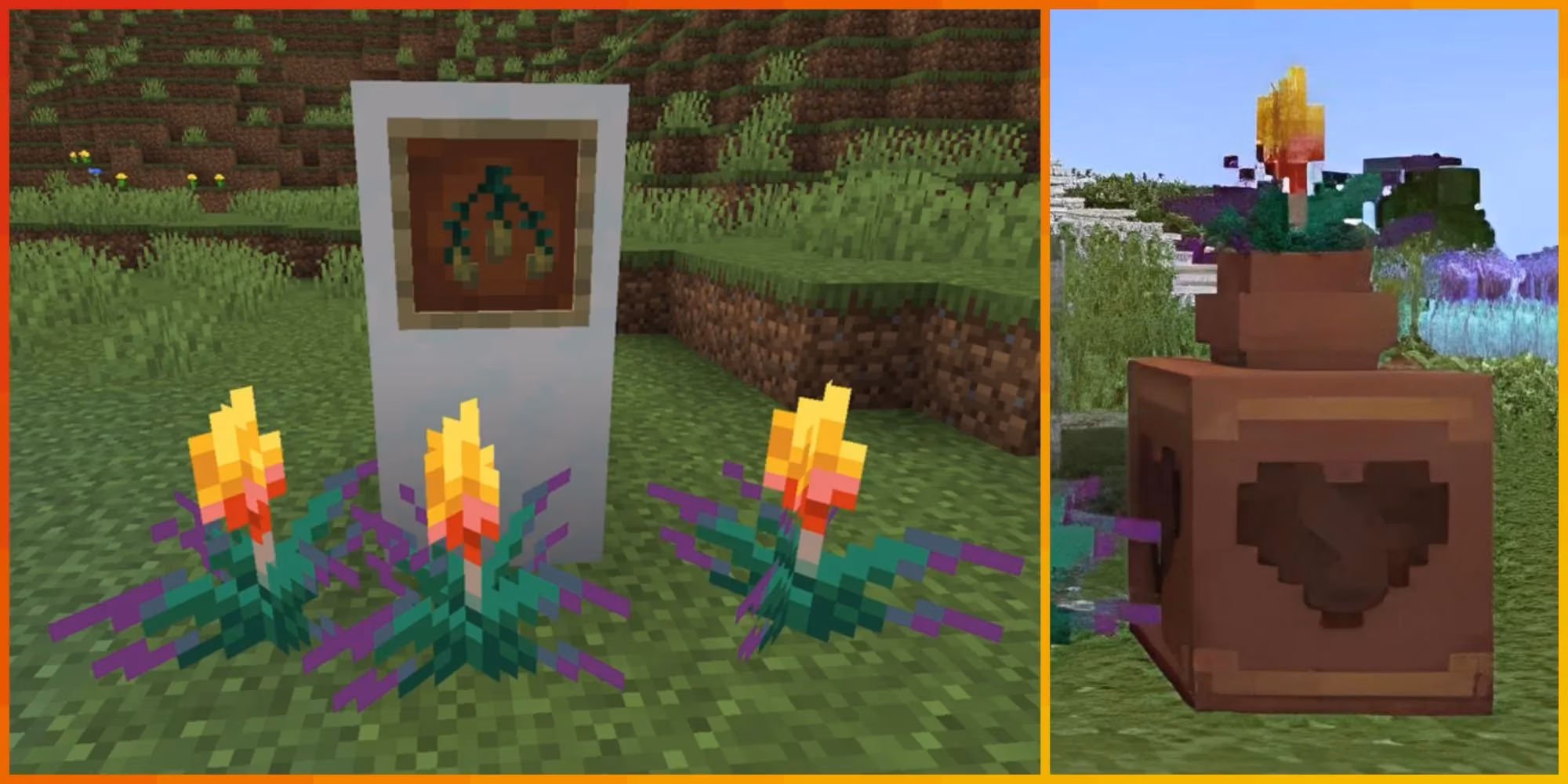 torchflower-tales-my-first-person-guide-to-minecraft-s-extinct-orange-bloom-image-0