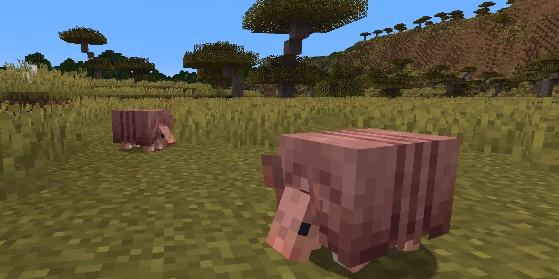 minecraft-s-tiny-1-20-5-update-could-finally-break-the-big-update-curse-image-0