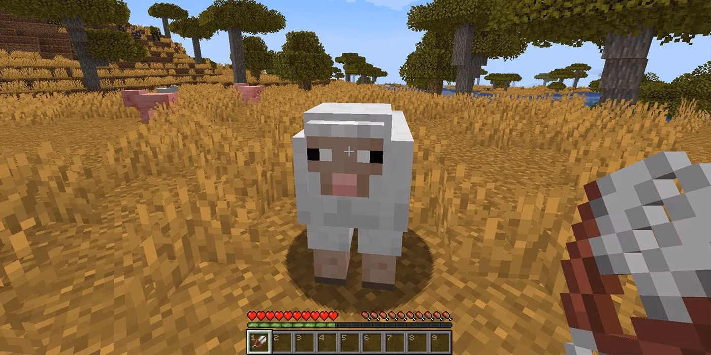 5-most-underappreciated-minecraft-tools-worth-your-inventory-slot-in-2026-image-0
