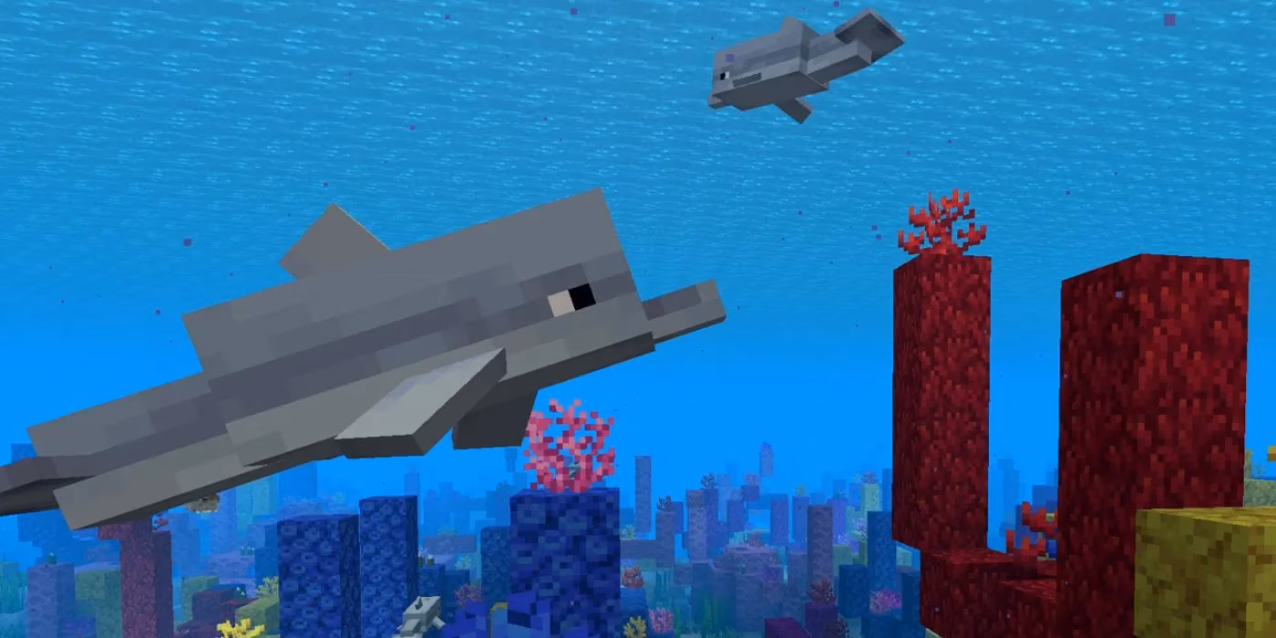 whispers-of-wonder-my-journey-among-minecraft-s-most-endearing-creatures-image-0