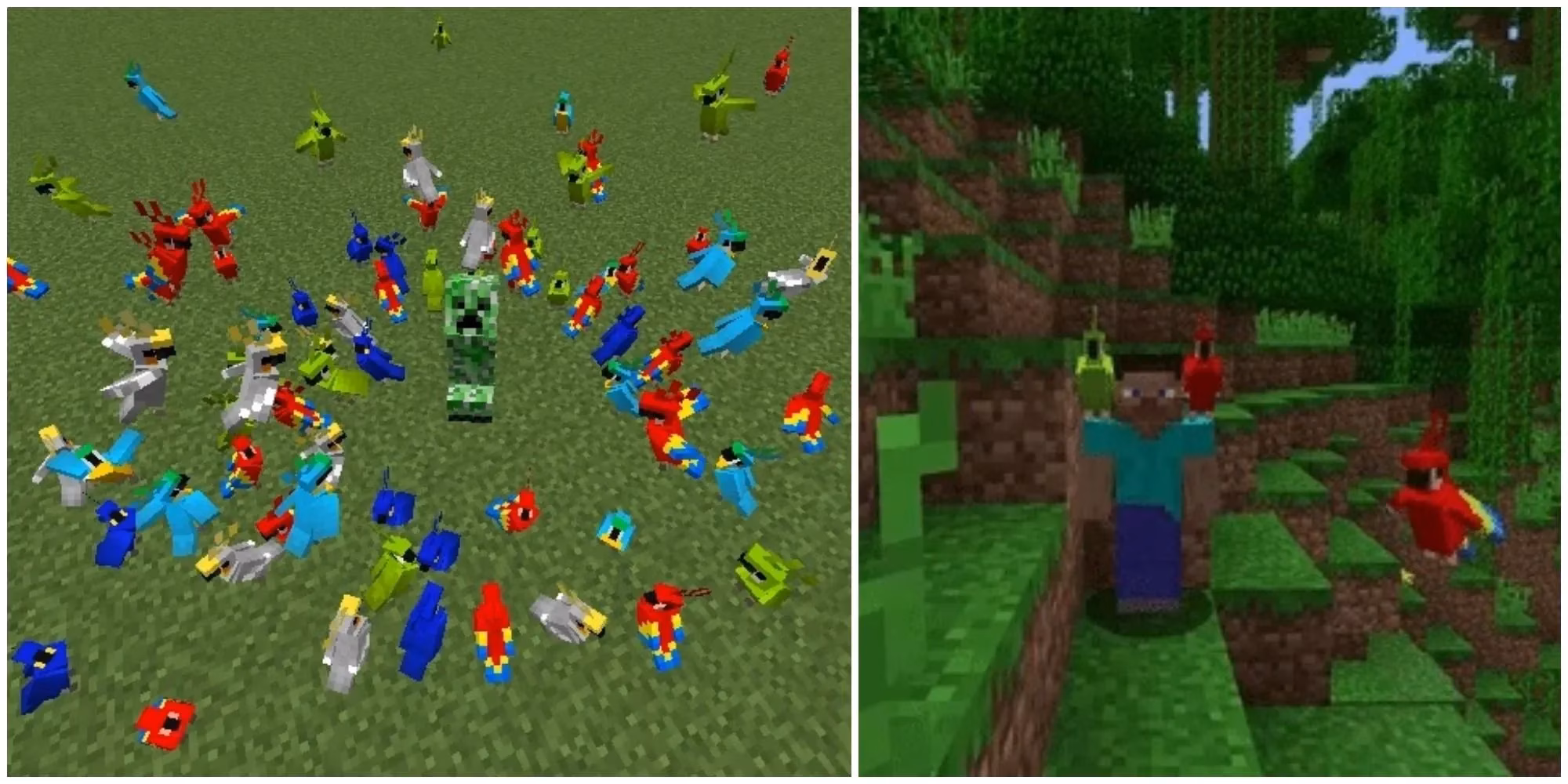 minecraft-parrots-a-pirate-s-best-friend-in-the-jungle-image-1