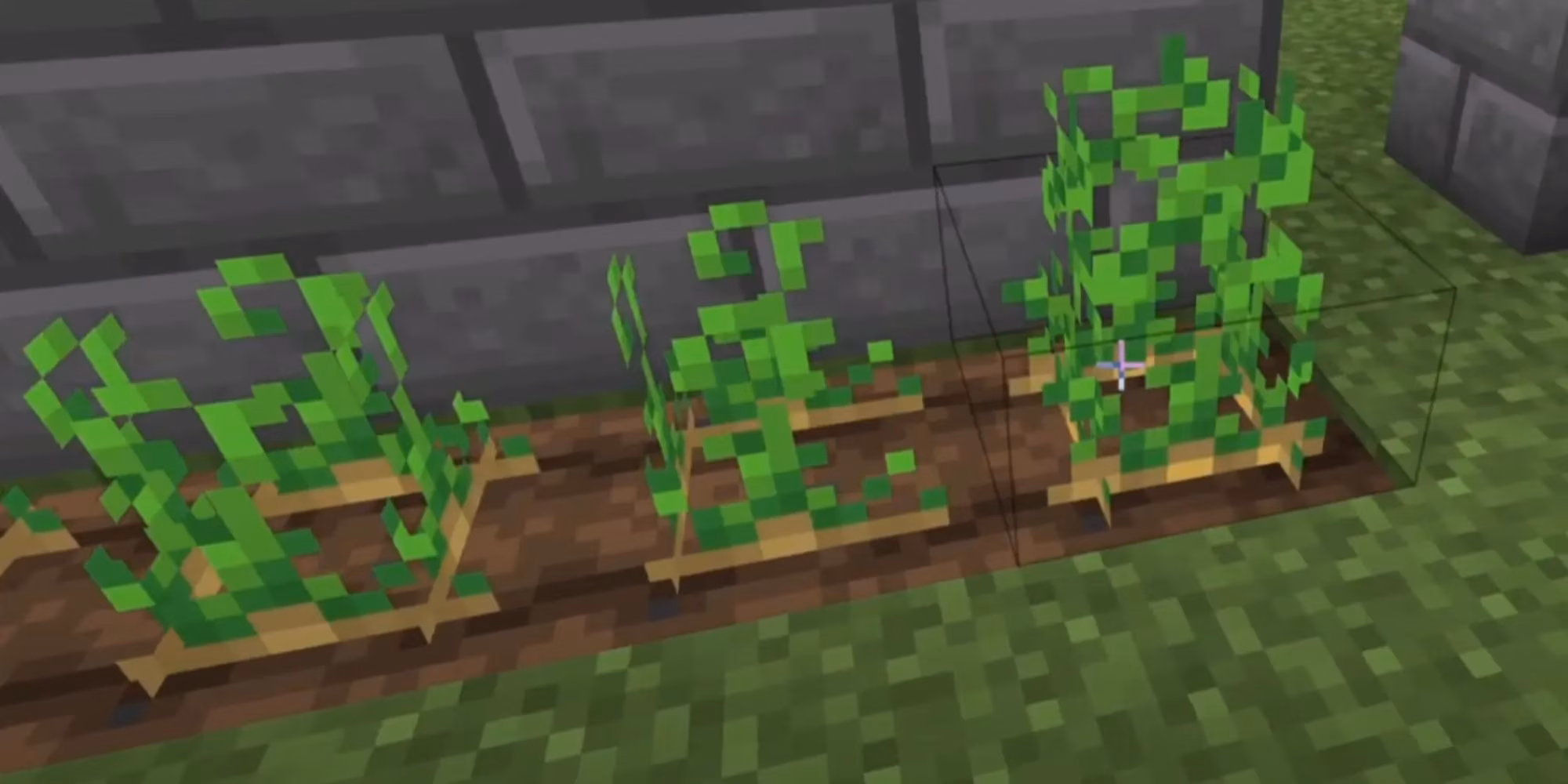 minecraft-potatoes-how-i-find-and-plant-them-in-2026-image-2