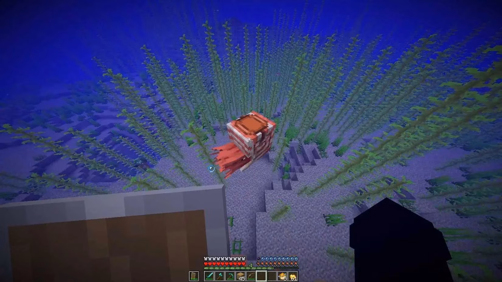 my-insane-underwater-odyssey-taming-minecraft-s-majestic-nautilus-image-0
