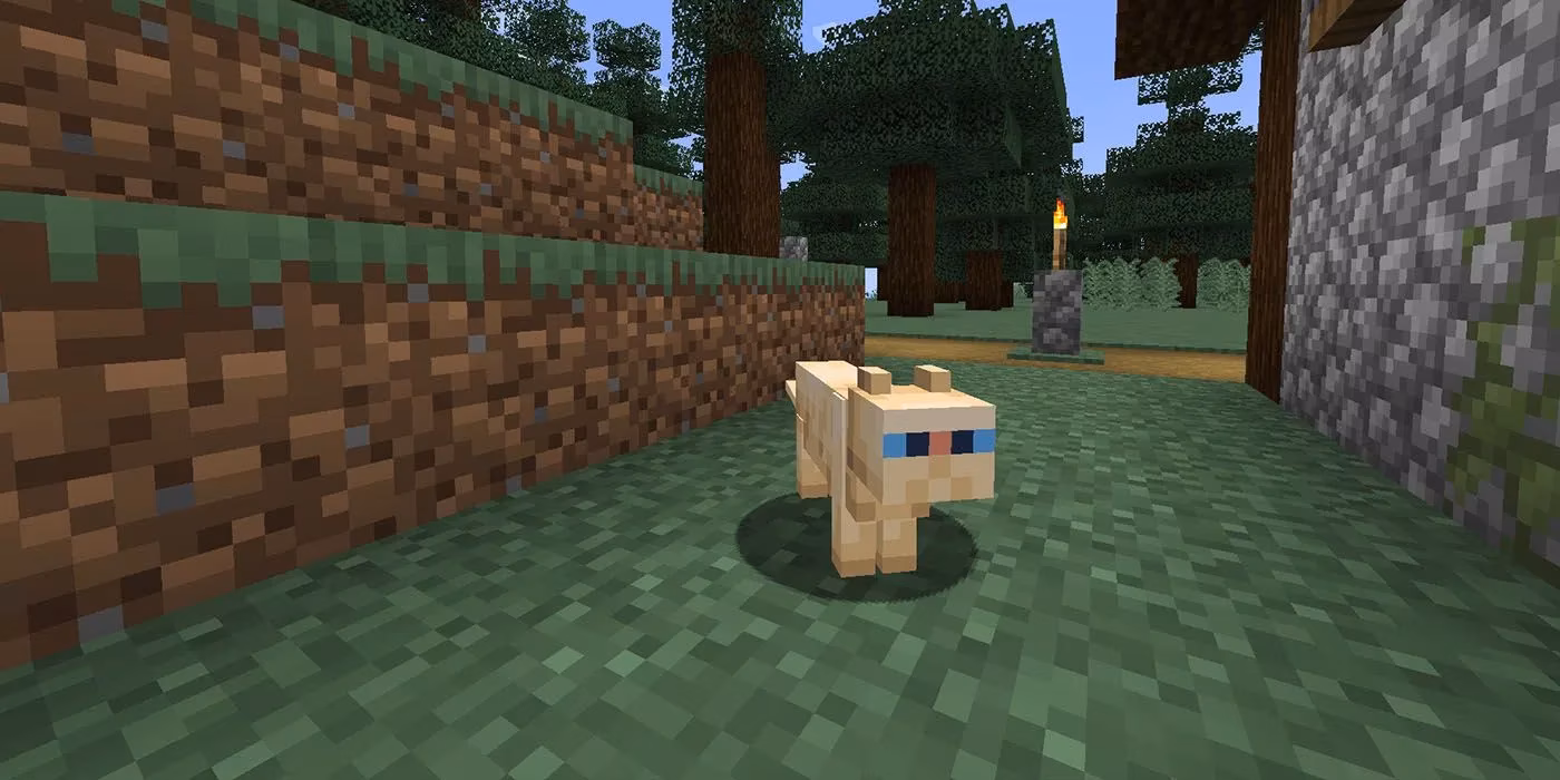 minecraft-s-purrfect-lineup-every-cat-skin-from-old-to-new-image-6