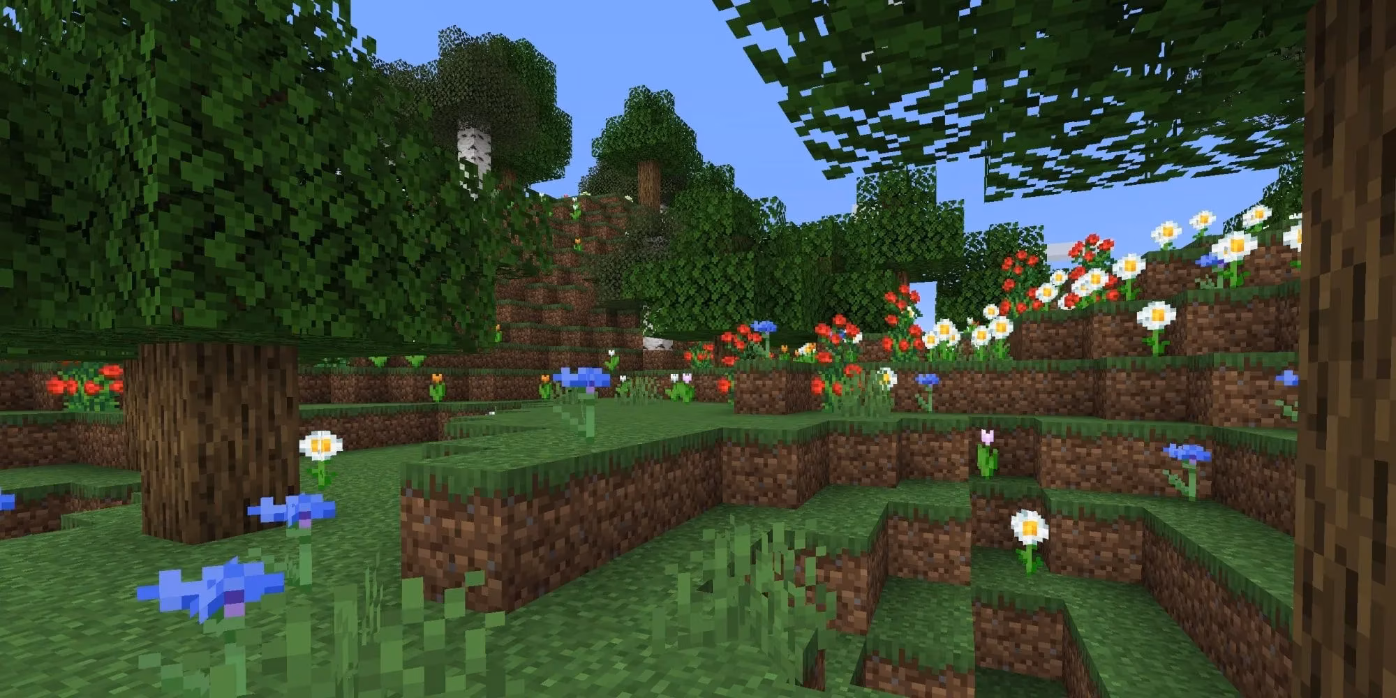 whispers-of-the-world-a-poet-s-journey-through-minecraft-s-rarest-biomes-image-1
