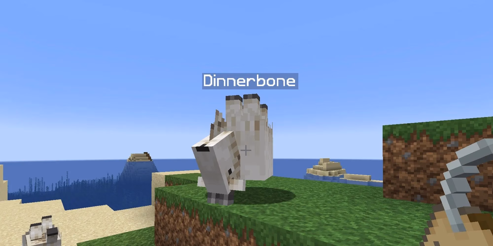 minecraft-name-tags-in-2026-finding-using-and-fun-easter-eggs-image-4