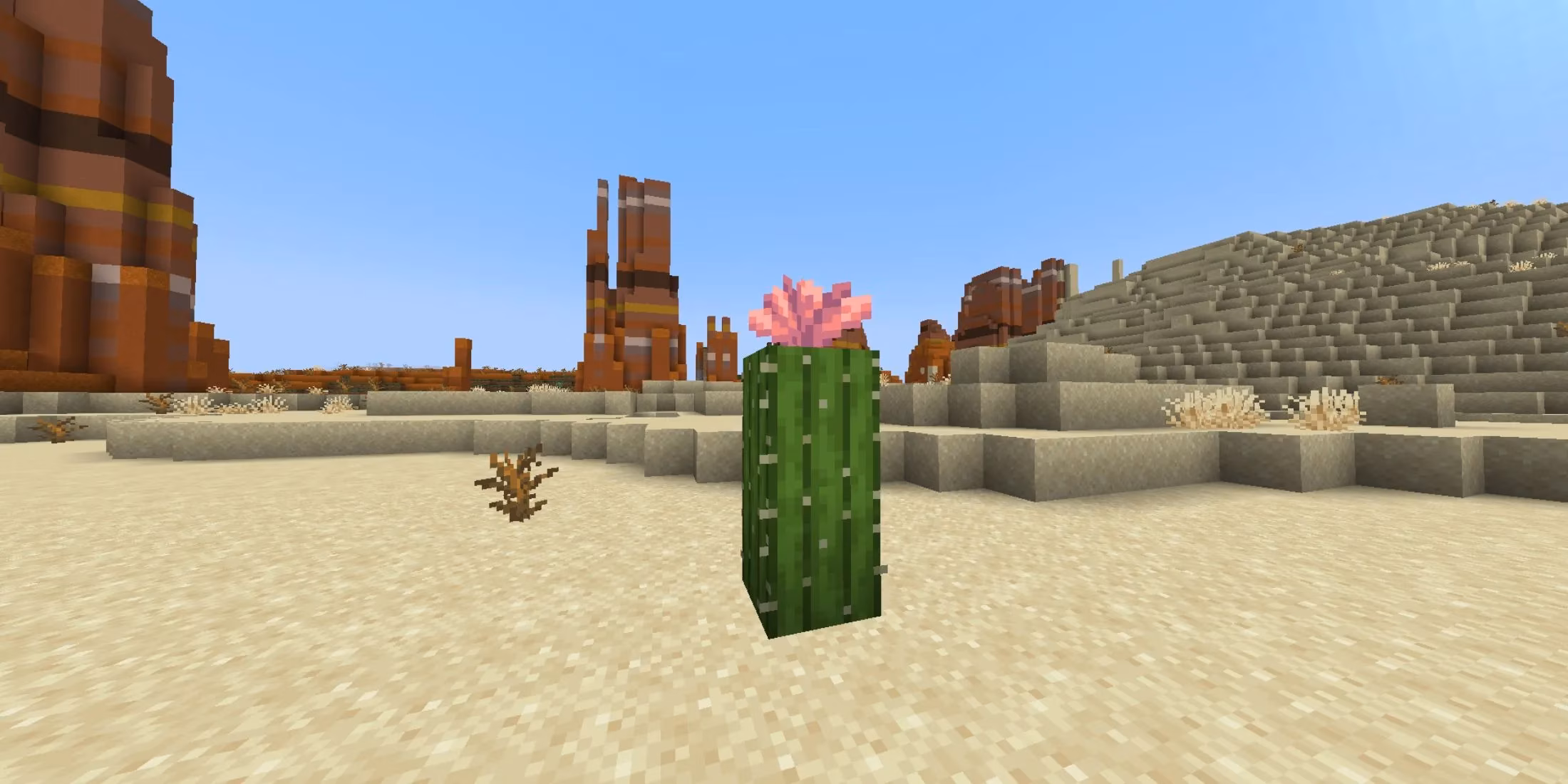 minecraft-s-blooming-cactus-flowers-guide-image-0