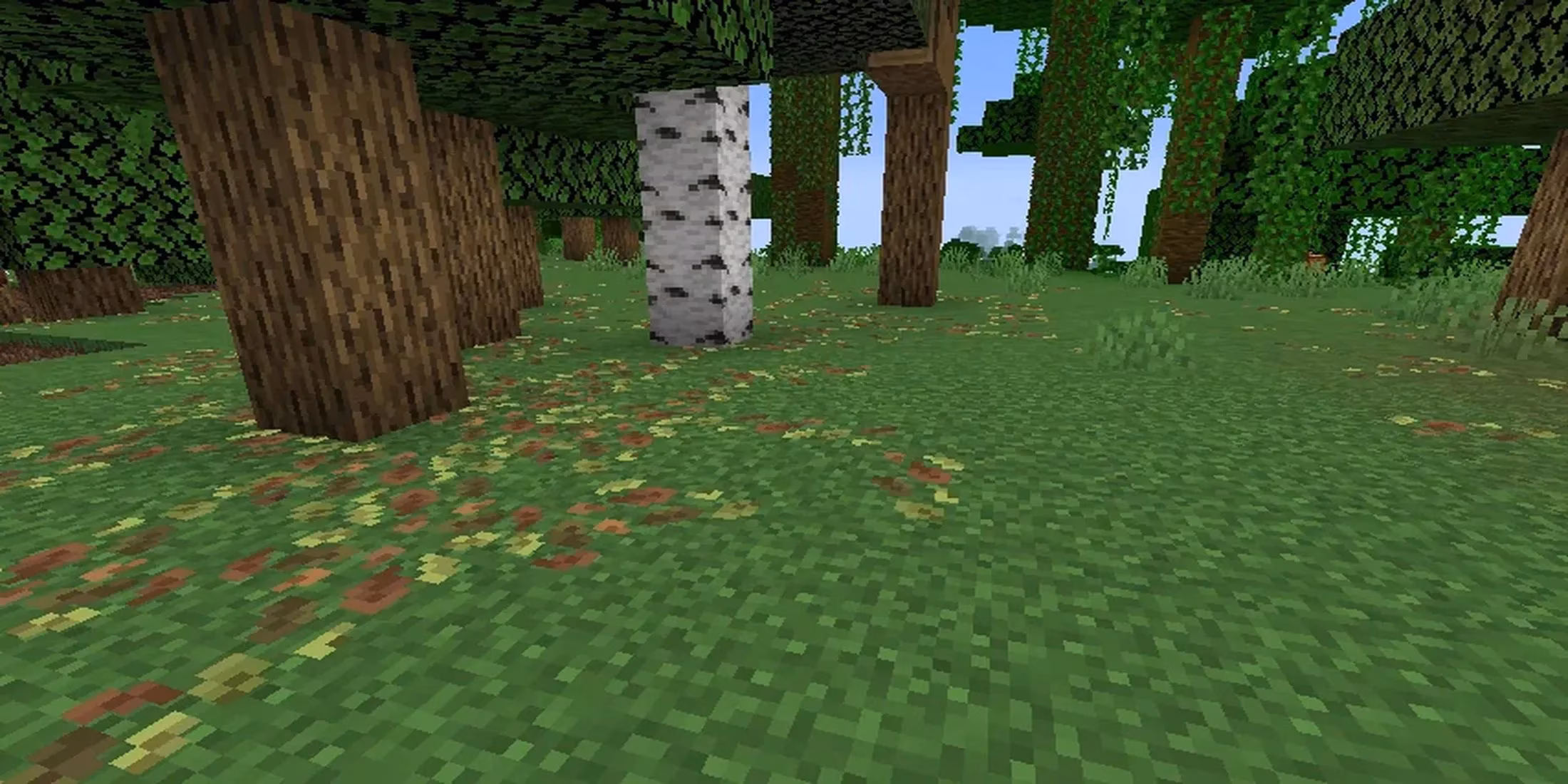 minecraft-leaf-litter-update-sparks-visual-evolution-debate-image-0