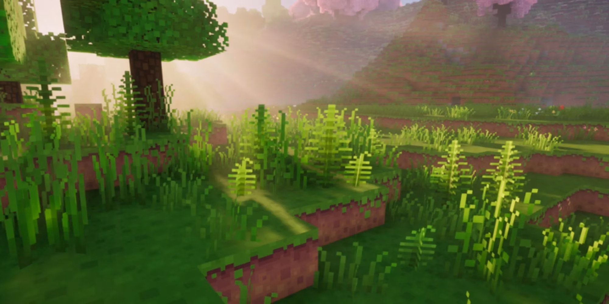 8-cute-minecraft-texture-packs-that-will-make-you-smile-image-4